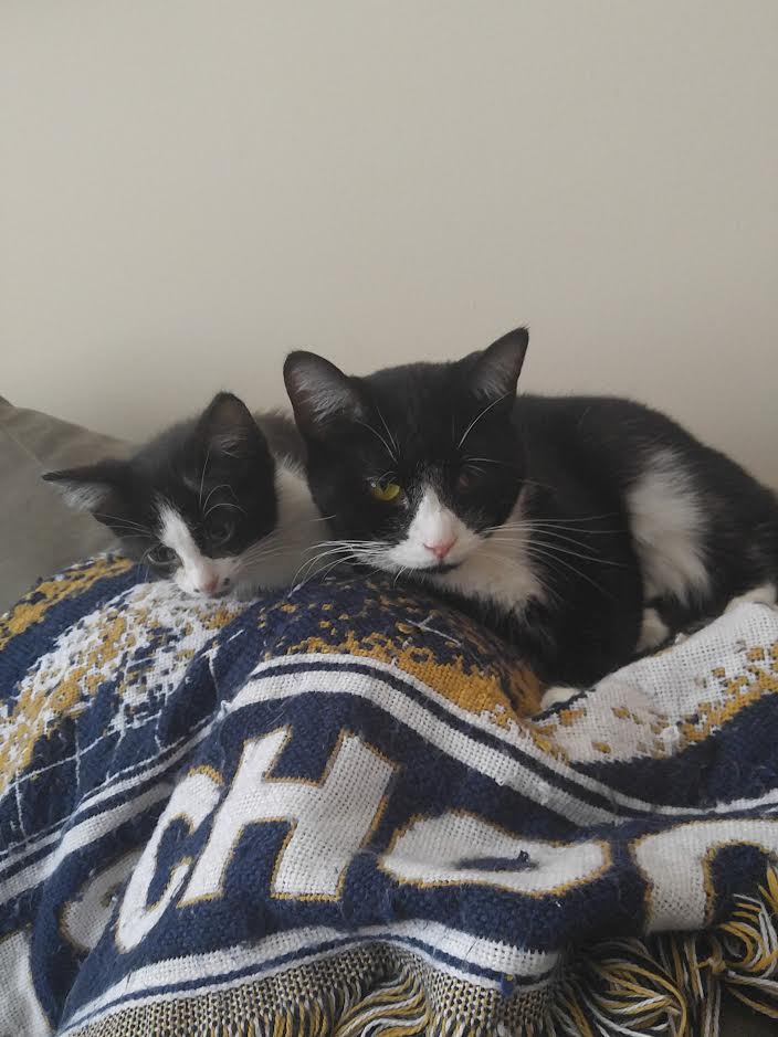 Bailey Pet Angel Memorial Center