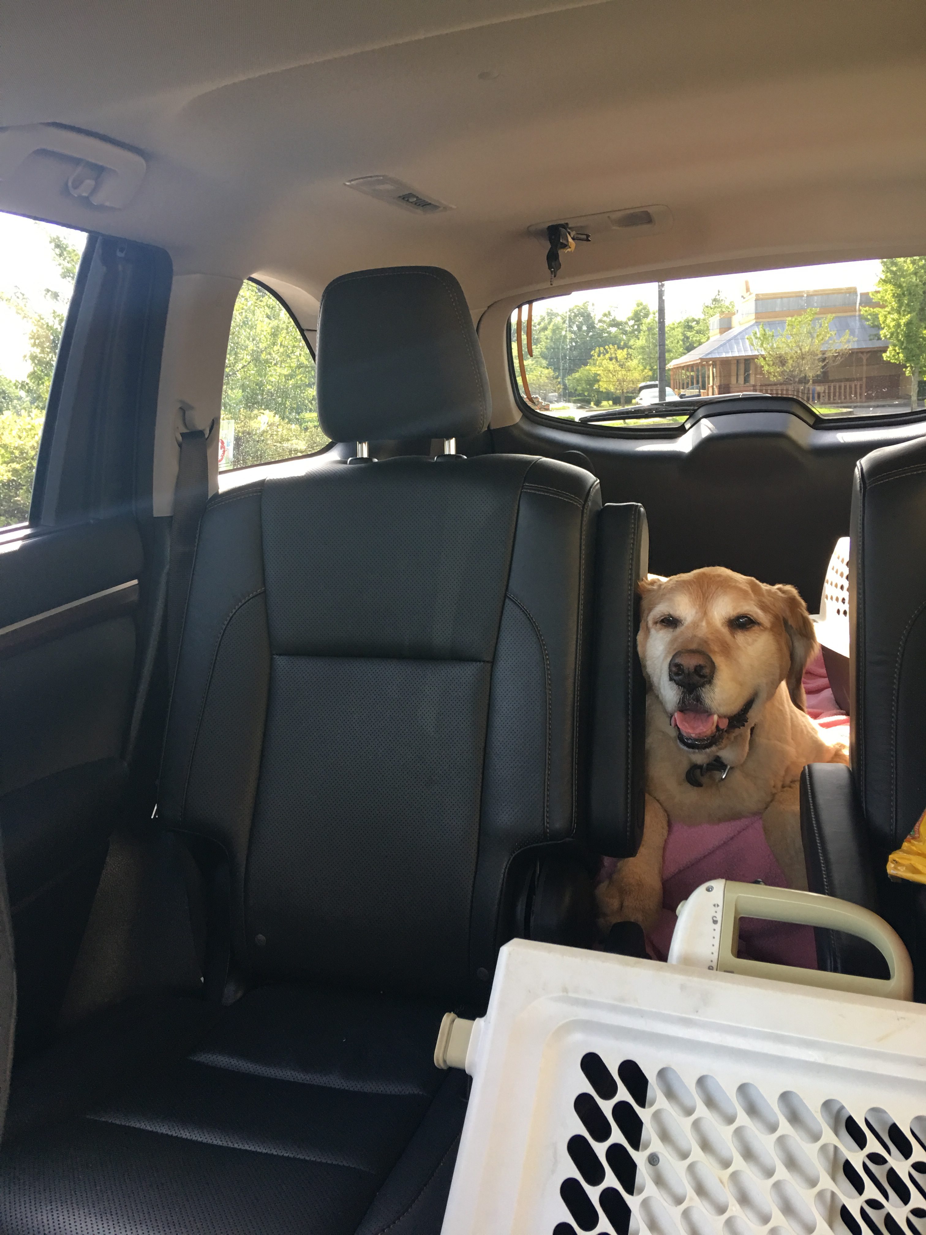 Sam Pet Angel Memorial Center