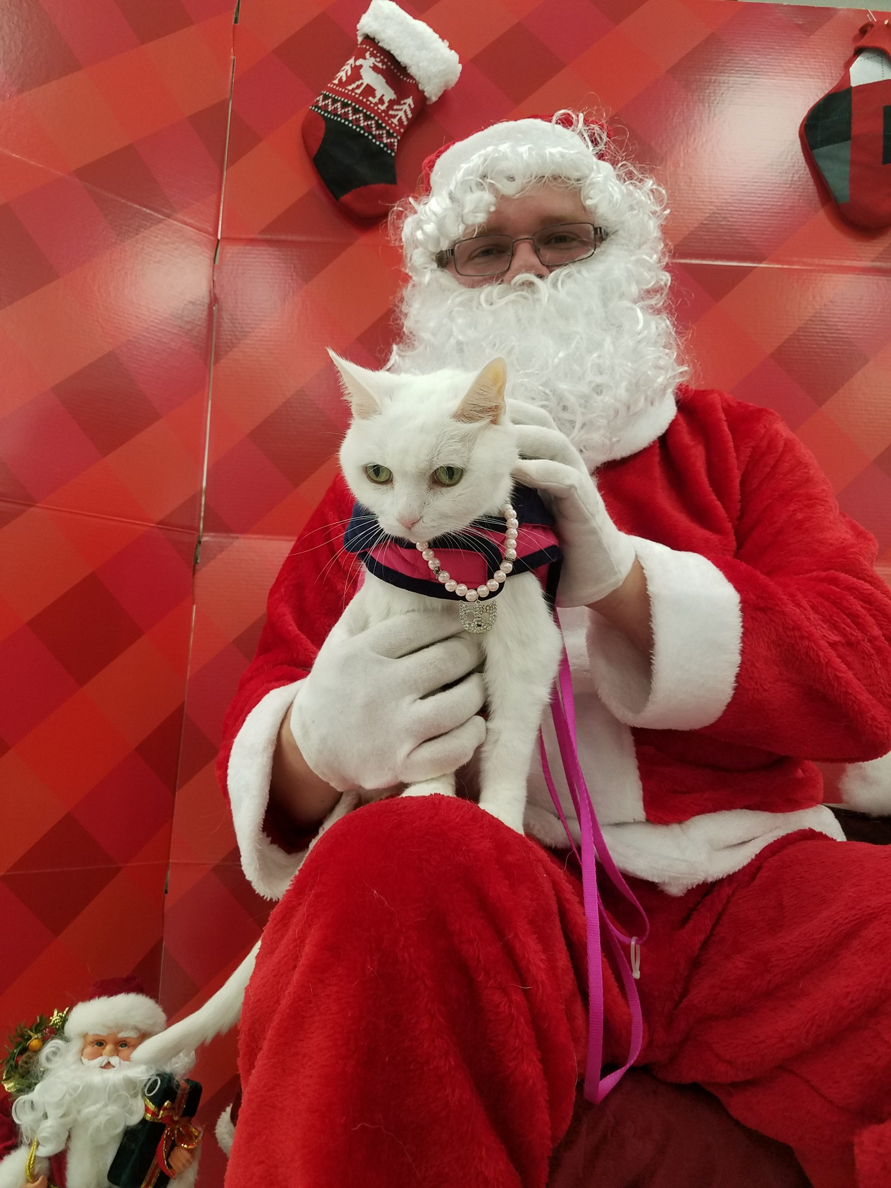 Blanca (Baunkie) Pet Angel Memorial Center