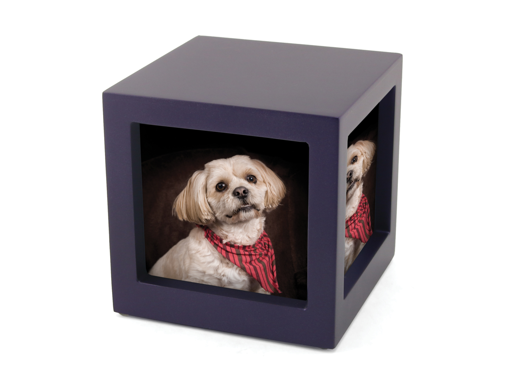 Photo Cubes - Violet Image