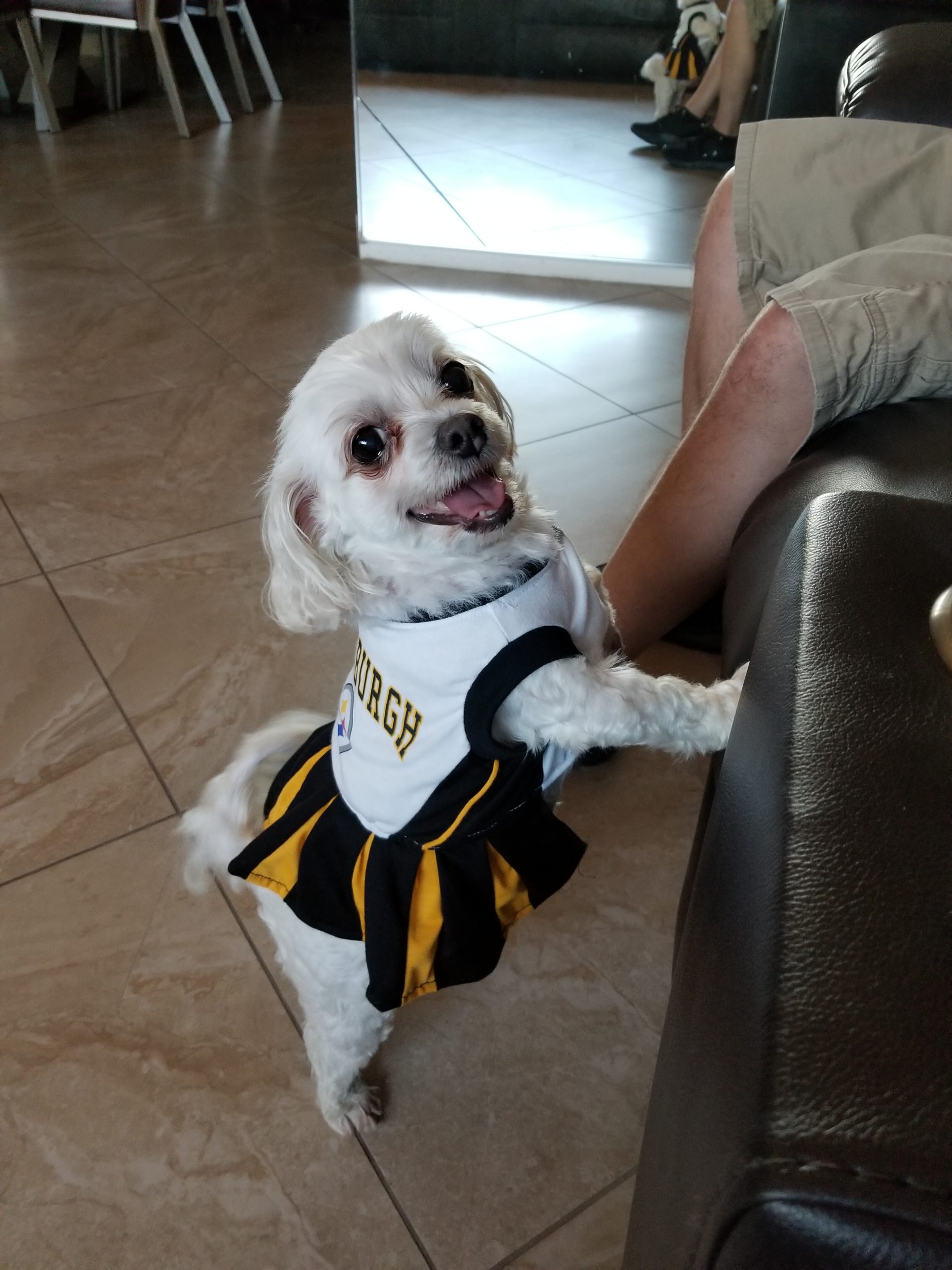 Zaza Pet Angel Memorial Center