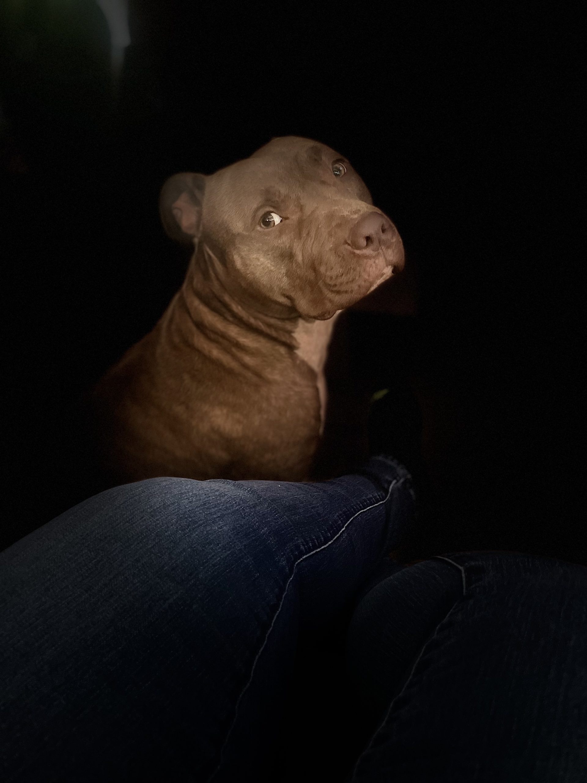 Huncho Pet Angel Memorial Center