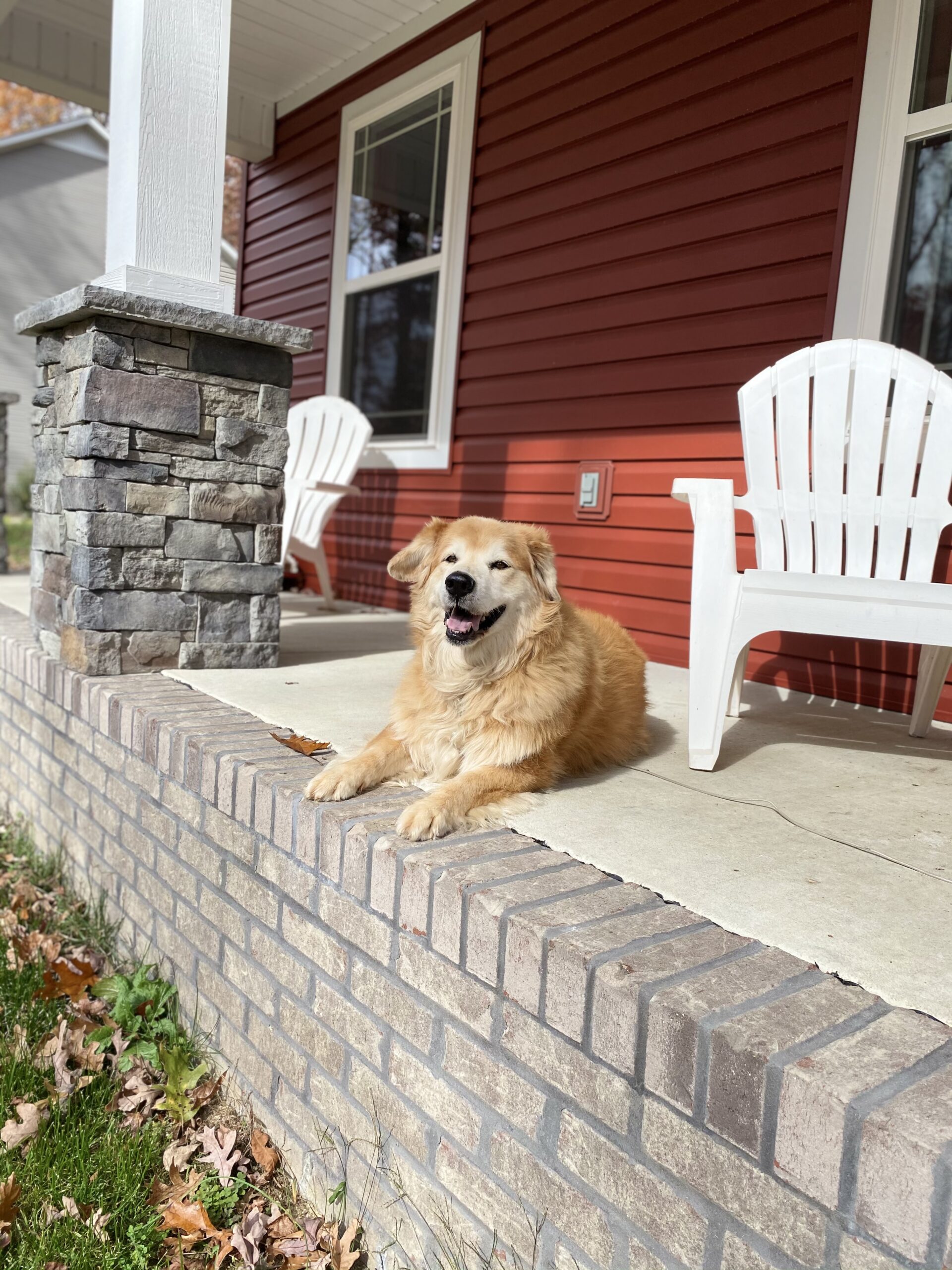 Sally Pet Angel Memorial Center