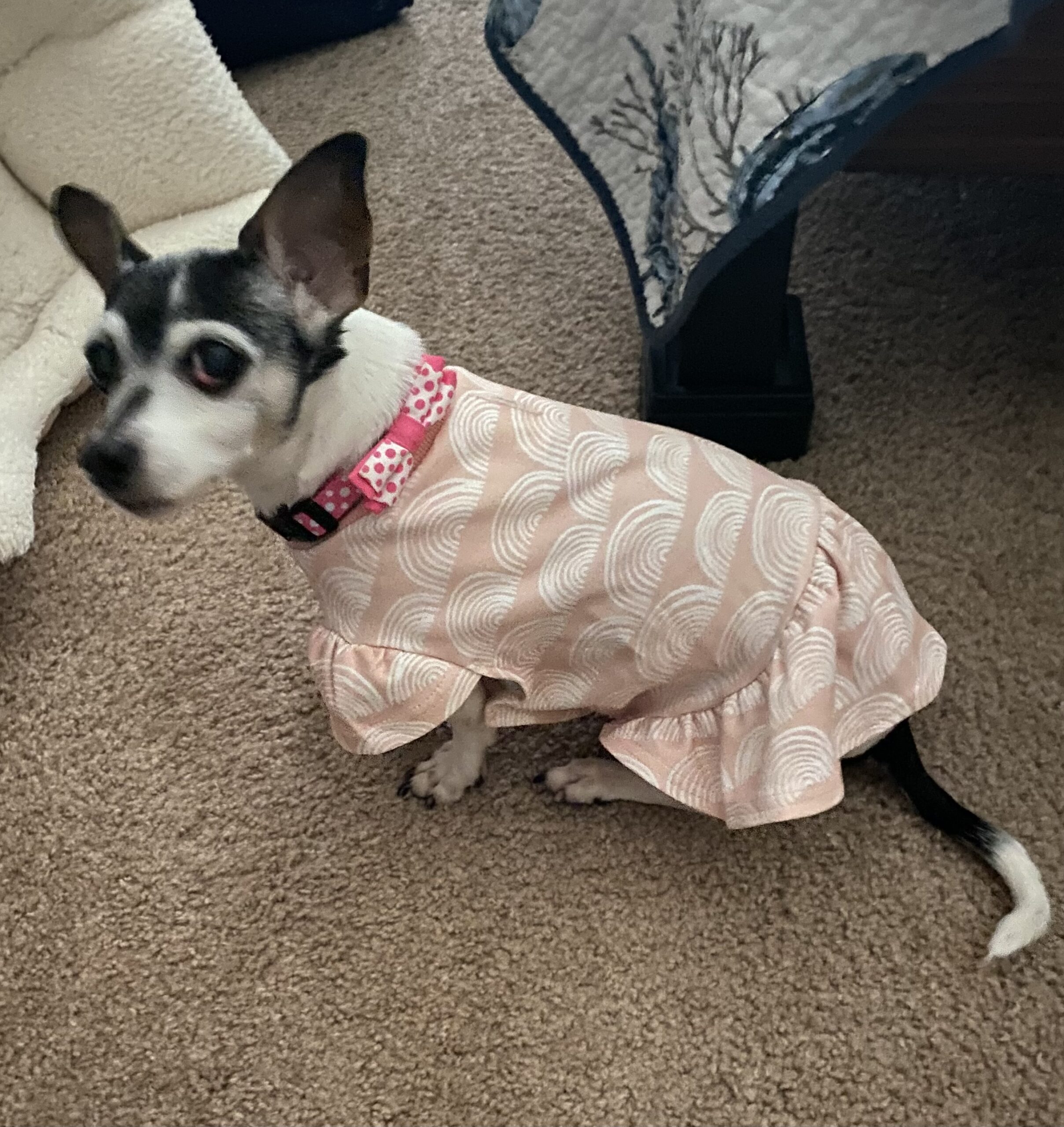 Yushi Pet Angel Memorial Center